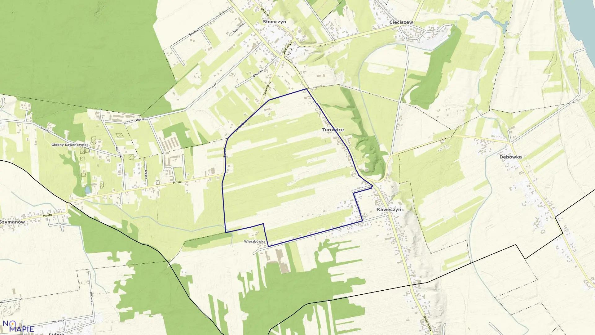 Mapa obrębu TUROWICE w gminie Konstancin-Jeziorna